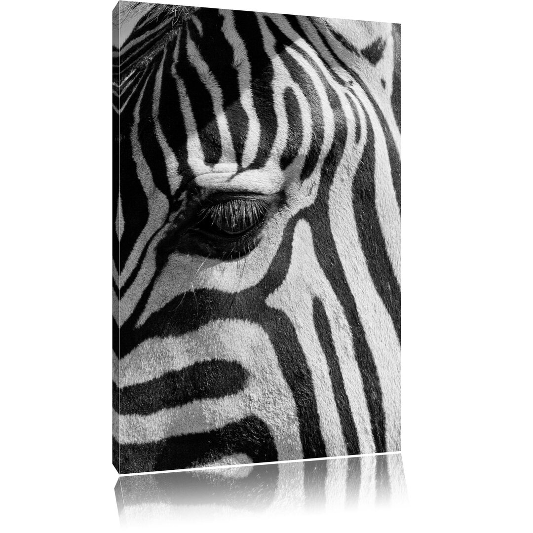 Zebra Portrait Kunstdruck auf Leinwand