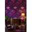 Pivoine pelez et collez
