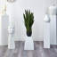 35'' Faux Foliage Plant in Planter