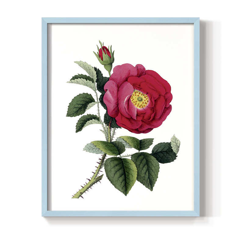 «Botanical Beauty I», reproduction encadrée - bois massif, Bleu, H 15 po x l 12 po