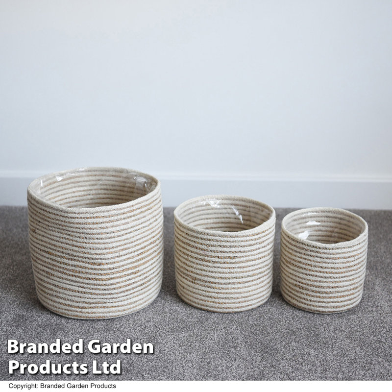 Indoor Planter Basket Natural Seagrass Three Set - 25cm, 20cm & 17cm Diameter, 25cm H x 25cm W x 25cm D, White