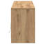 TV Cabinet 100 X 34 X 50 Cm Engineered Wood-131987240