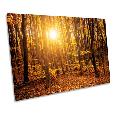 Orange Forest Sunset Trees - Wrapped Canvas Print