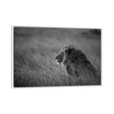 Lion King by Anura Fernando - Print on Canvas