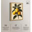 Impression sur toile Zesty Precision par Art Remedy-110295299-110295293