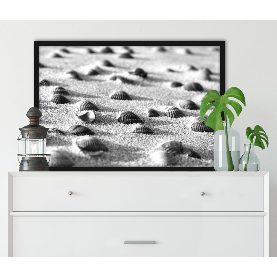 Muscheln Im Sand Kunst B&W - Poster Im Rahmen (y12622)