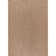 Beige Indoor/Outdoor Rug