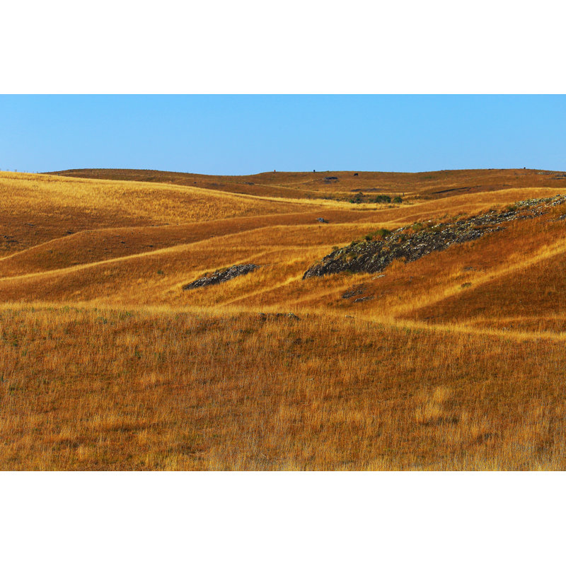 Pampa Meadows in the Hills par Agustavop
