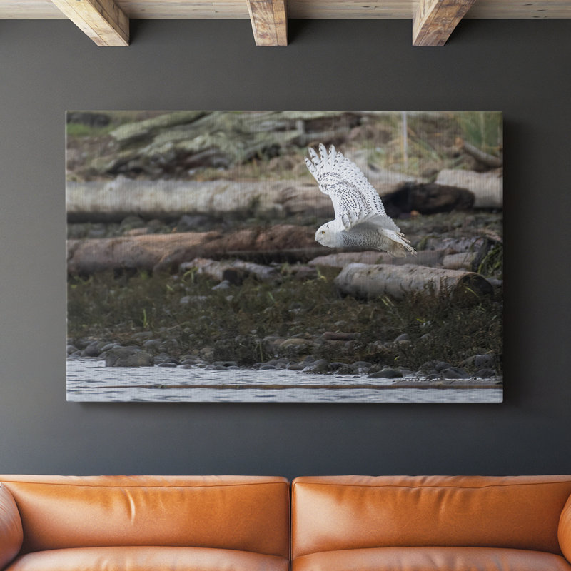 Solo Flight -Gallery Wrapped Cavas, 12" H x 18" W