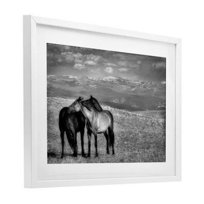 Focused Horse Duo Framed Print Under Glass, design by Wendy Caro