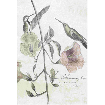 Doux colibris II