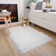 Sheepskin Indoor Rug