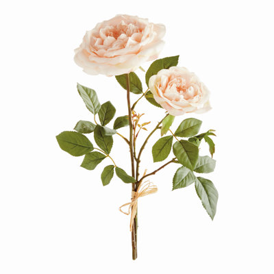 English Rose