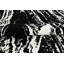 Hand Knotted Abstract Area Rug in Black/White-1558404879