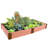 Raised Garden Bed