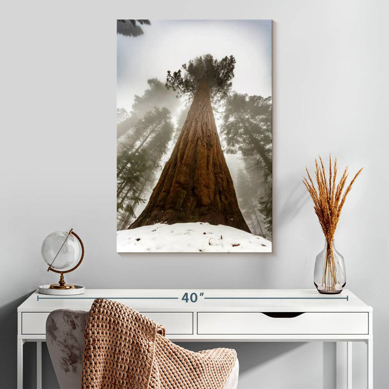 Harnek Sequoia Red Tree, 30" H x 20" W