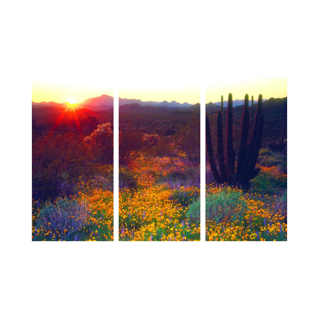 Sonnenuntergang über einer Landschaft im amerikanischen Südwesten, Organ Pipe National Monument, Pima County, Arizona, U...