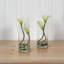 Lilies Arrangement in Vase-1248553881