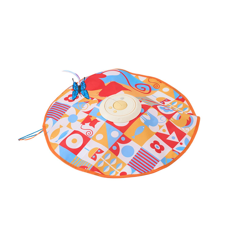 Rechargeable Interactive Cat Toy for Indoor Play