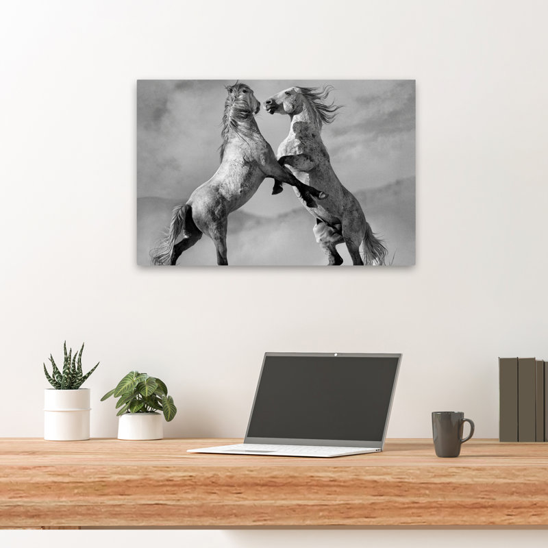 Challgers - Photographie, animaux, chevaux, art, H 16 po x l 24 po