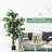 48'' Faux Ficus Tree in Pot