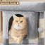 50cm H Cat Tree-1844960188