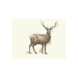 Forest Morning III Print by Sara Brown
