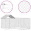 Antunez Dog House-623252280