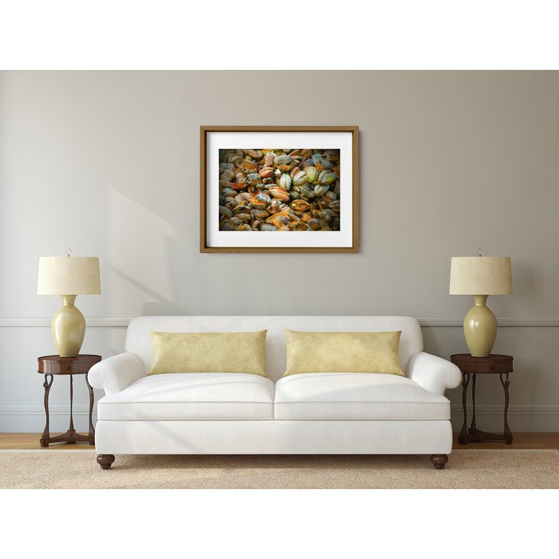 Hazy In The Coconut Print by Joseph Regan, Walnut, 26" H x 36" W x 0.75" D