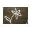 Himalayan Floral Area Rug in Brown