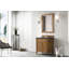 Brittany 30'' W Single Vanity-2129487515-2075343014-2118280356