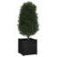 Alasiah Wood Planter Box-1696373206-1696373215