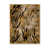 Natural Floater Frame Canvas selected