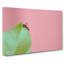 Ant - Wrapped Canvas-55323741