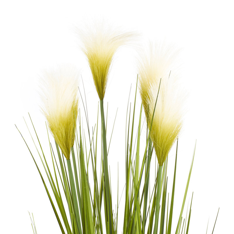 Plant in Pot, 104cm