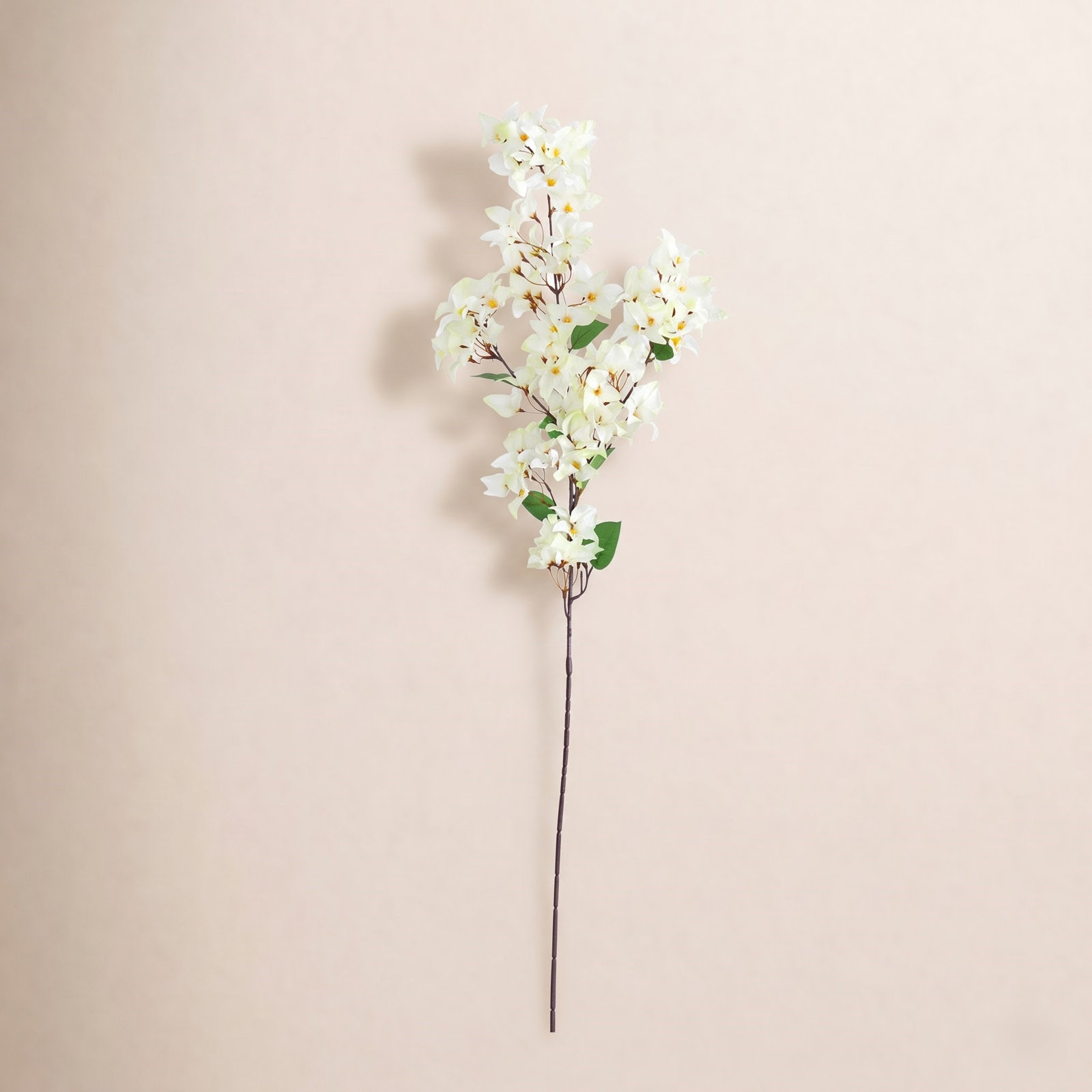 Bougainvillea Floral Stems, White