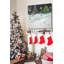 " Paris Joy "-25250604-40496922