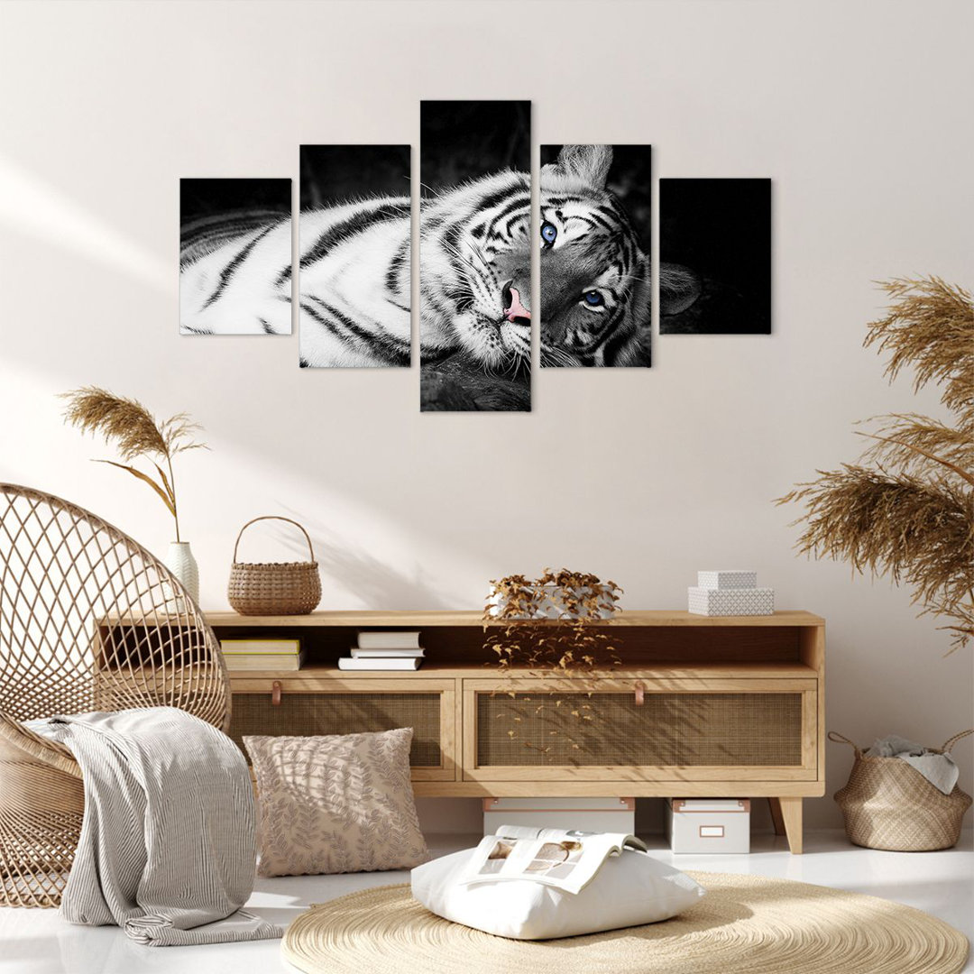 5-tlg. Leinwandbilder-Set White Tiger Black and White