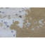 Area Rug in Ivory-83413414