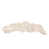 White/Gold is out of stock selected