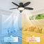 106cm Ceiling Fan with LED Lights-1491069265-1491069270