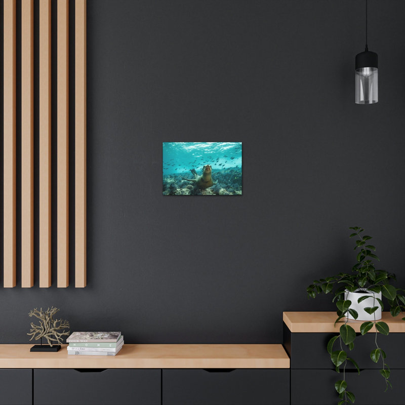 No Frame Print on Canvas, 30.48cm H x 40.64cm W