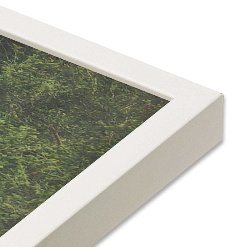«Moss Draped Path» par Martin Podt, reproduction d'art, 36 W x 24 H, White, Framed Print
