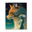 Jeleah - Horloge murale animaux-1977628407