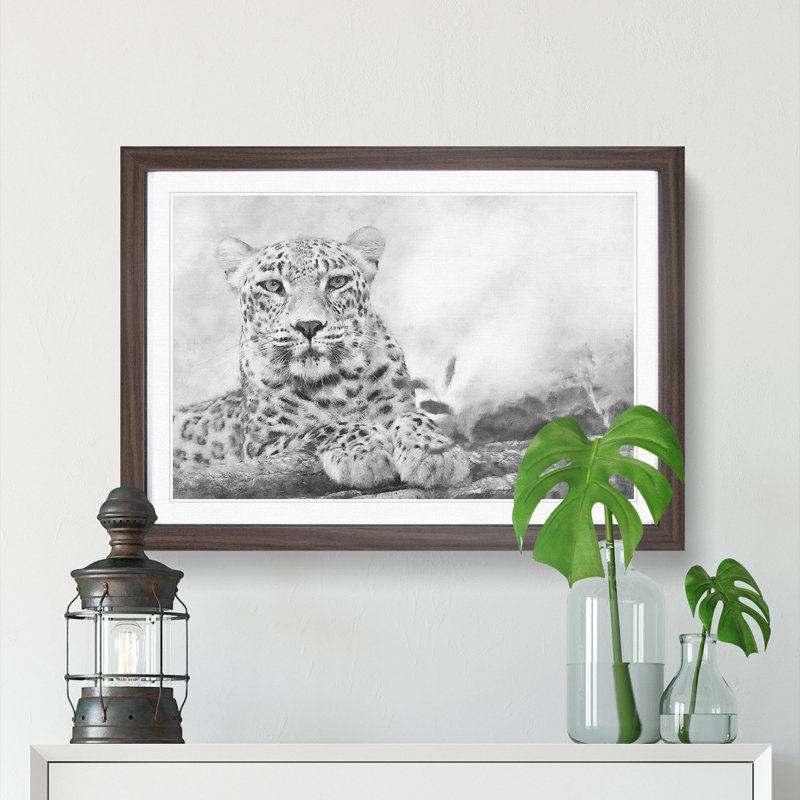 Leopard Resting - Picture Frame Photograph Print, 24cm H x 33cm W x 2cm D, Walnut Framed