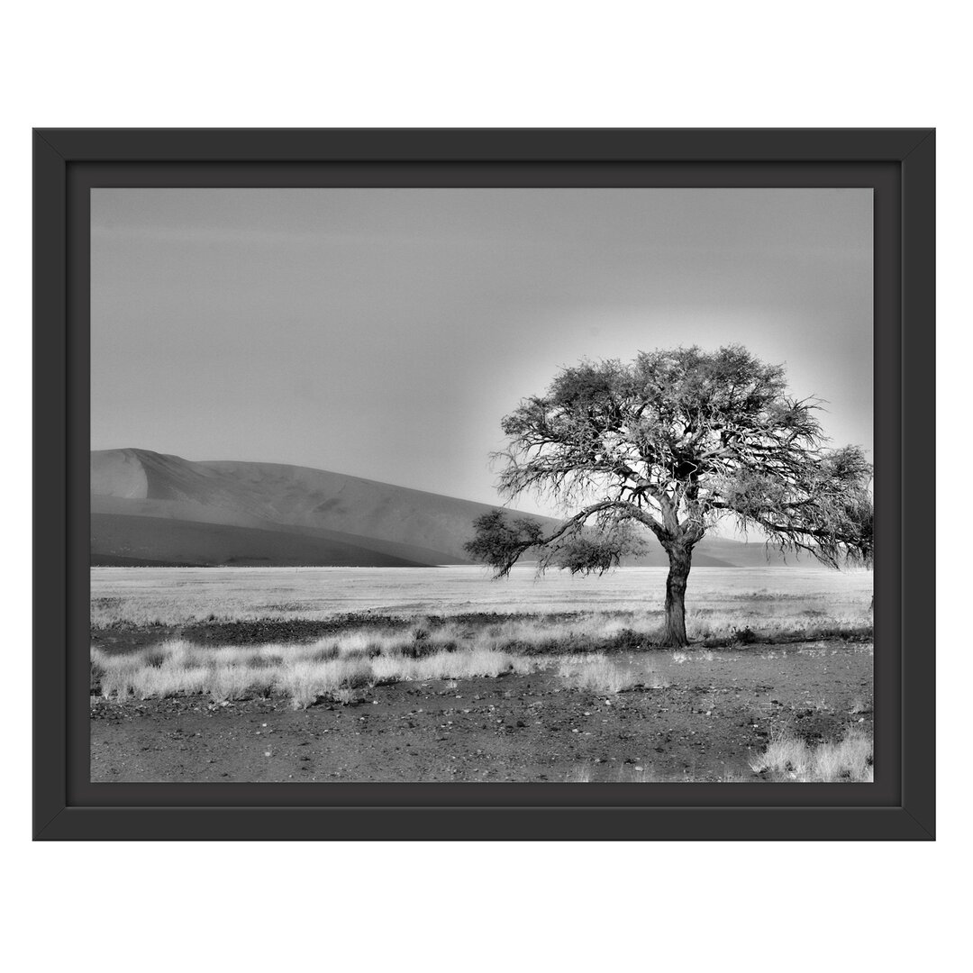 Gerahmtes Wandbild einzelner Baum in Wüste