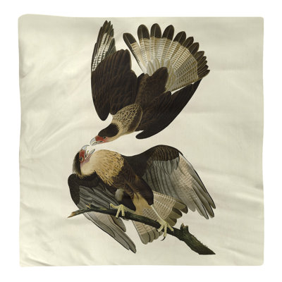 Serviette de coton 10 po brasilian caracara eagle John James Audubon