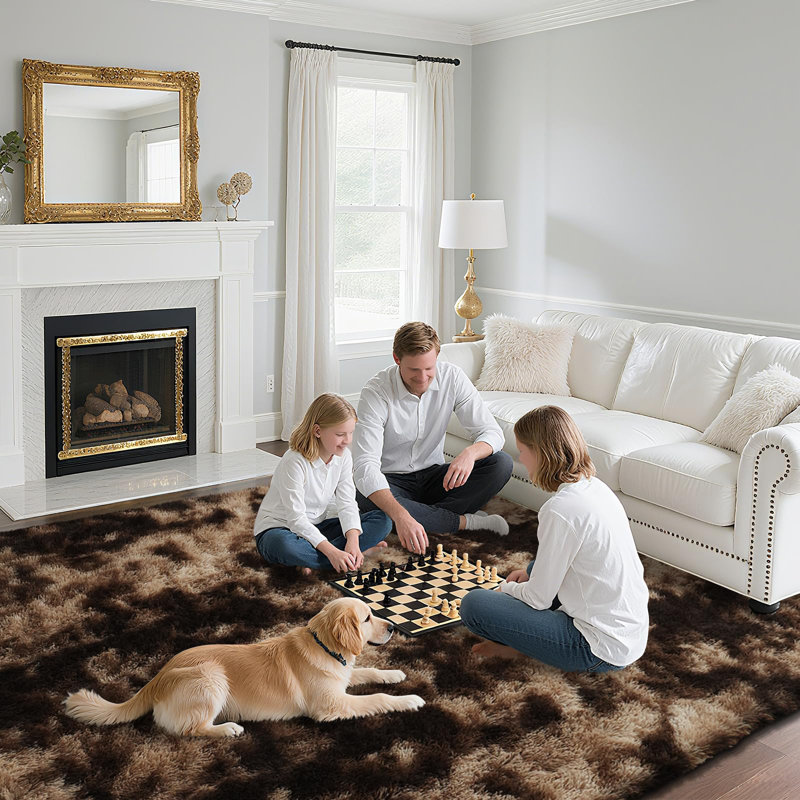 Brown Black Fuzzy Area Rug - Ultra Soft Shag Rug for Living Room, Bedroom, Holiday Decor, Non-Slip Plush Carpet for Modern Home