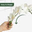 Arrangement de soie orchidée en pot-823644236