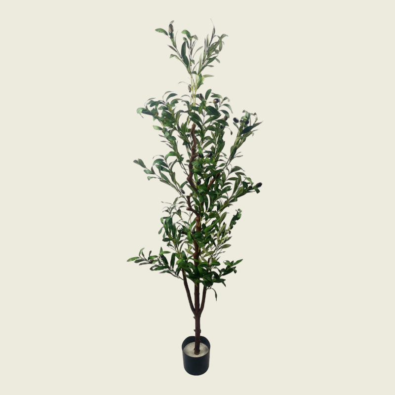 Arbre d'olivier artificiel Forest pour bureau, salon, patio type B, H 59,06 po x l 15,75 po x P 15,75 po